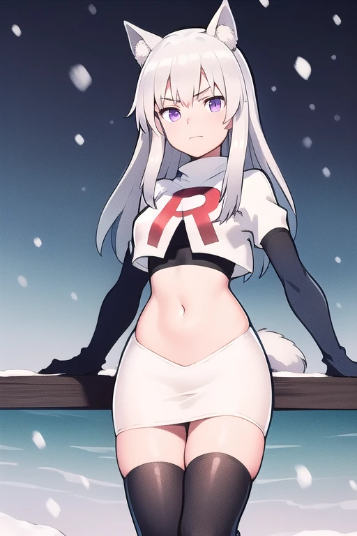 masterpiece, best quality, 1girl, aurora e. juutilainen, dog tail, animal ears, purple eyes, silver hair, outside, snow, team rocket,team rocket uniform,white skirt,red letter R,crop top,black thigh-highs,black elbow gloves
