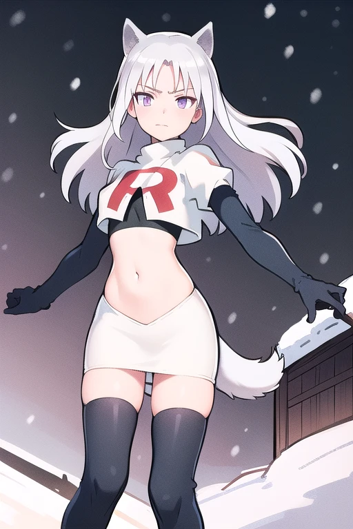 masterpiece, best quality, 1girl, aurora e. juutilainen, dog tail, animal ears, purple eyes, silver hair, outside, snow, team rocket,team rocket uniform,white skirt,red letter R,crop top,black thigh-highs,black elbow gloves