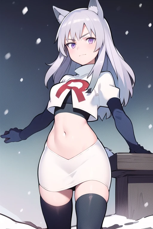 masterpiece, best quality, 1girl, aurora e. juutilainen, dog tail, animal ears, purple eyes, silver hair, outside, snow, team rocket,team rocket uniform,white skirt,red letter R,crop top,black thigh-highs,black elbow gloves