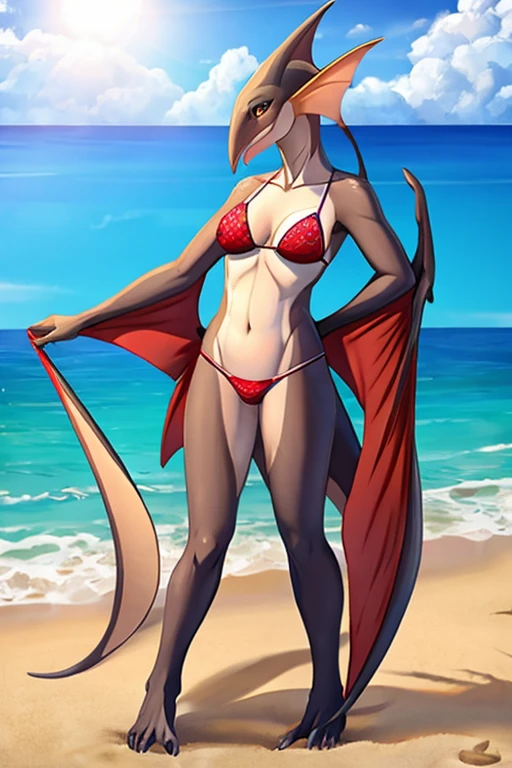 Pterosaurs bikini