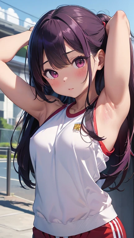 masterpiece、highest quality、Very detailed、Photograph the upper body、1 female、(Arms behind your back:1.4)、Are standing、Turn your body forward、View your viewers、(gymwear:1.2、red buruma:1.2)、blush、shy、Purple Hair、Open your mouth、Schoolyard、Ground、Big Breasts、