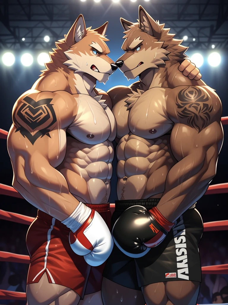 Duo male fighters(Brown Wolf vs Brown Wolf, handsomes, perfect eyes, Thick eyebrows), Staring(They are cuddling embraced around their necks, flexing abs, body frottage, in a boxing match), hot(Shirtless), handsomes(They are handsomes, correct anatomy), musculosos(Big muscle bodies, Six packs, muscle abs, big pecs, muscle legs, muscle backs), sweaty(very sweaty wet bodies, shiny sweat), tatuajes(they have tattoos), Angry(They have an angry expression), Boxing gloves(They both are wearing boxing gloves), Shorts(They are wearing black boxing shorts), Hight resolution
