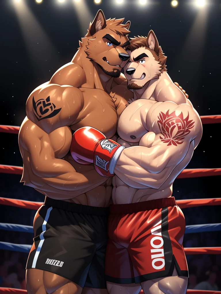Duo male fighters(Brown Dog vs Brown Dog, handsomes, perfect eyes, Thick eyebrows), Staring(They are cuddling embraced around their necks, flexing abs, body frottage, in a boxing match), hot(Shirtless), handsomes(They are handsomes, correct ), musculosos(Big muscle bodies, Six packs, muscle abs, big pecs, muscle legs, muscle backs), sweaty(very sweaty wet bodies, shiny sweat), tatuajes(they have tattoos), Angry(They have an angry expression), Boxing gloves(They both are wearing boxing gloves), Shorts(They are wearing black boxing shorts), Hight resolution