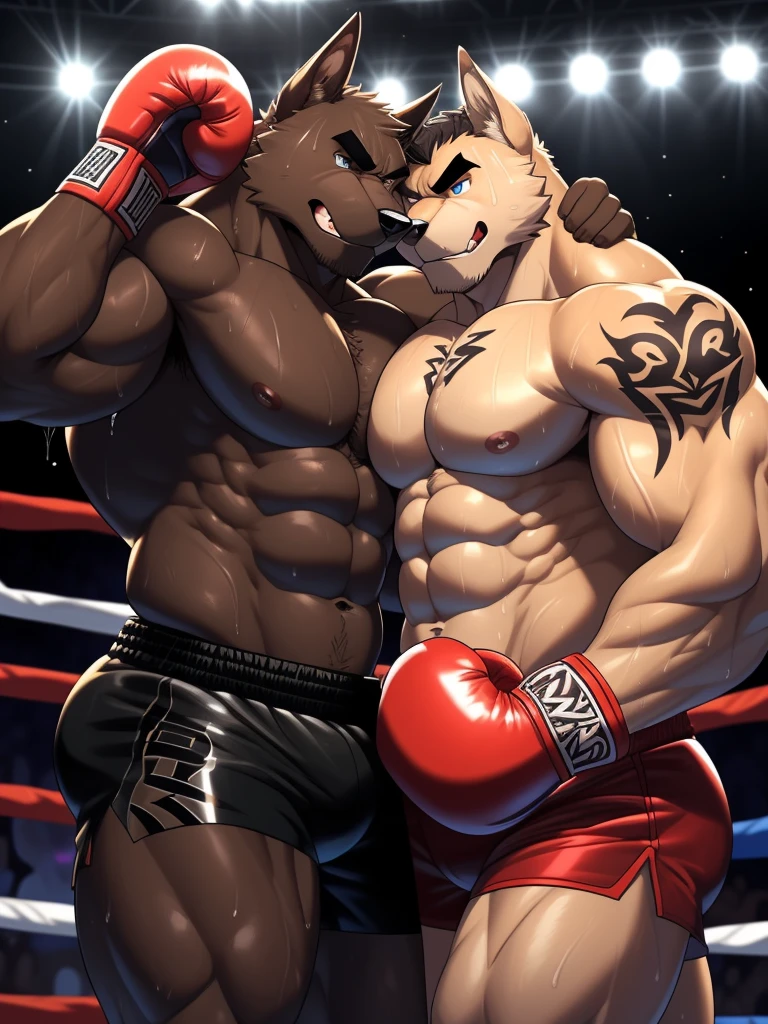 Duo male fighters(Brown Dog vs Black Dog, handsomes, perfect eyes, Thick eyebrows), Staring(They are cuddling embraced around their necks, flexing abs, body frottage, in a boxing match), hot(Shirtless), handsomes(They are handsomes, correct anatomy), musculosos(Big muscle bodies, Six packs, muscle abs, big pecs, muscle legs, muscle backs), sweaty(very sweaty wet bodies, shiny sweat), tatuajes(they have tattoos), Angry(They have an angry expression), Boxing gloves(They both are wearing boxing gloves), Shorts(They are wearing black boxing shorts), Hight resolution