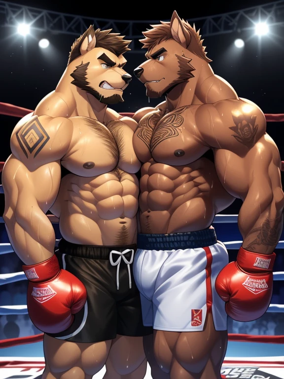 Duo male fighters(Brown Dog with beard vs Marrow Dog, handsomes, perfect eyes, Thick eyebrows), Staring(They are cuddling embraced around their necks, flexing abs, body frottage, in a boxing match), hot(Shirtless), handsomes(They are handsomes, correct anatomy), musculosos(Big muscle bodies, Six packs, muscle abs, big pecs, muscle legs, muscle backs), sweaty(very sweaty wet bodies, shiny sweat), tatuajes(they have tattoos), Angry(They have an angry expression), Boxing gloves(They both are wearing boxing gloves), Shorts(They are wearing black boxing shorts), Hight resolution