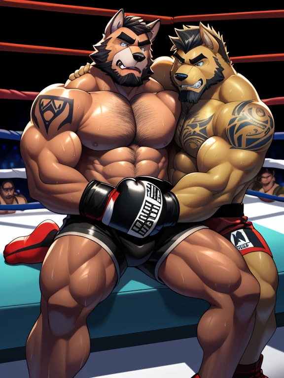 Duo male fighters(Brown Dog with beard vs Marrow Dog with beard, handsomes, perfect eyes, Thick eyebrows), gay(They are cuddling embraced sitting down, from behind, in a boxing match), hot(Shirtless), handsomes(They are handsomes, correct anatomy), musculosos(Big muscle bodies, Six packs, muscle abs, big pecs, muscle legs, muscle backs), sweaty(very sweaty wet bodies, shiny sweat), tatuajes(they have tattoos), Angry(They have an angry expression), Boxing gloves(They both are wearing boxing gloves), Shorts(They are wearing black boxing shorts), Hight resolution
