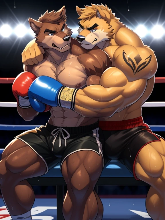 Duo male fighters(Brown Dog vs Marrow Dog, handsomes, perfect eyes, Thick eyebrows), gay(They are cuddling embraced sitting down on the ground, from behind, in a boxing match), hot(Shirtless), handsomes(They are handsomes, correct anatomy), musculosos(Big muscle bodies, Six packs, muscle abs, big pecs, muscle backs), sweaty(very sweaty wet bodies, shiny sweat), tatuajes(they have tattoos), Angry(They have an angry expression), Boxing gloves(They both are wearing boxing gloves), Shorts(They are wearing black boxing shorts), Hight resolution