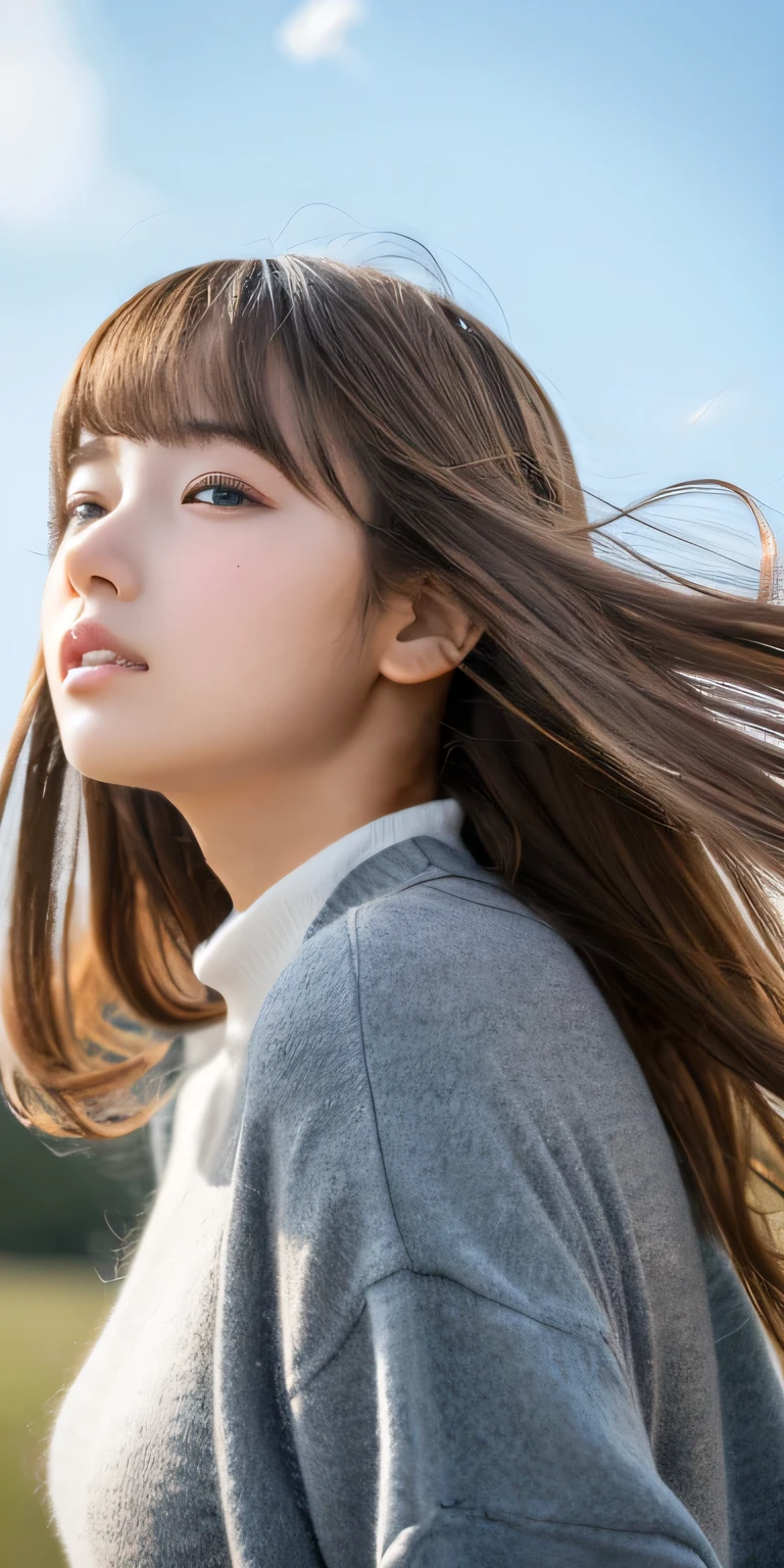 ((hair blowing in the wind、no makeup:1.2))、(realistic、Photoreal、Super detailed、best detailed skins、highest quality、masterpiece、超A high resolution)、cute woman、14 years、high school girl、young girl、1 girl、have bangs、ash blonde:1.7、double eyelid、drooling eyes、Japanese style face、purity、realistic skin type、thick muffler、Gray muffler、fluffy hair、red cheeks、The wind is blowing、that&#39;It&#39;s snowing、night、illumination、Lighting from behind、hair blowing in the wind、((A meteor shower、A world view of the aurora)),Japanese