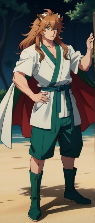 highest quality, Tabletop, 超A high resolution, Ryu Lion, Green shorts, Green Boots, White shirt, Green Cape