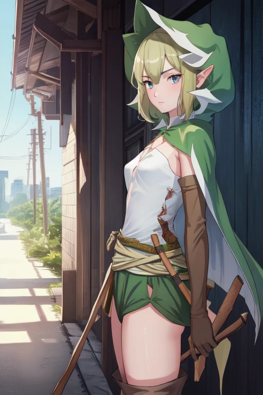 Ryu Hood Up Ryu Hood Down Ryu Maid Ryu Land