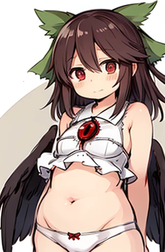 reiuji_utsuho、underwear、chest