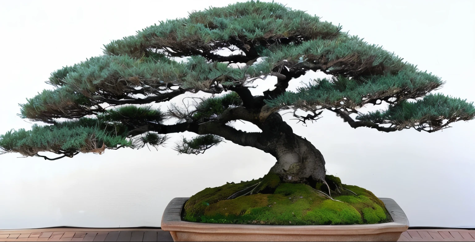 Please generate an image with a bonsai in the center. Please keep in mind the following points:
Bonsai depiction:
Place the bonsai in the center and draw the branches and leaves clearly.
The branches are flexible and spread out, and the leaves are detailed and detailed.
Use subtle colors to make each leaf look realistic.
Expression of depth and life:
Give your bonsai some depth so it feels three-dimensional.
I carefully draw the bonsai and its shadow, taking into account the lighting. Also pay attention to the position and density of the shadow.
Give your bonsai a sense of life by expressing the way the leaves sway in the wind and the natural movement of its branches.
The taste of ink painting:
It gives the overall finish a touch of an ink painting.
Use different shades of ink to add a soft touch.
Use colors sparingly and in harmony with the monochrome atmosphere.