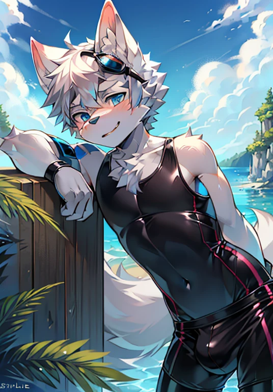 Furry，wolf boy，White fur，crystal blue eyes，Single fluffy tail，greyt hair，short detailed hair，summer day，dive，Wear diving goggles，masculine features，Squat，asshole，very long bulge，Sexy latex swimsuit，Sexy pose，Posture of seduction，((seduce))