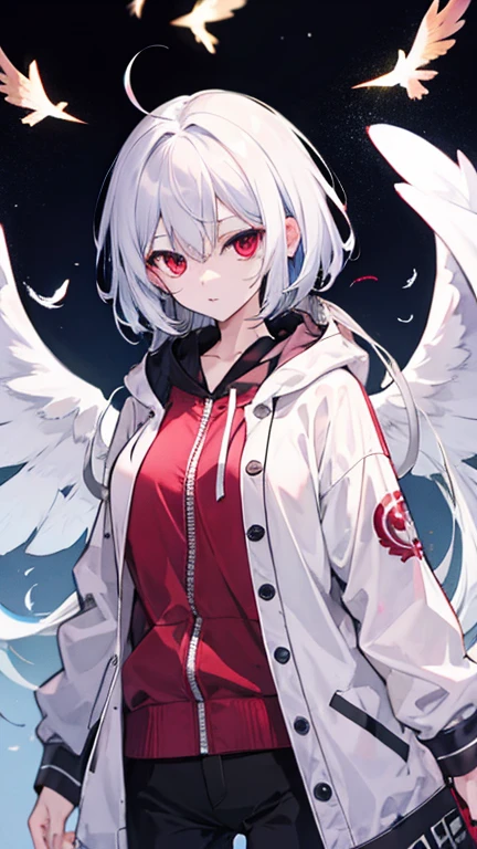 Highest quality I have long hair Sagume Rare God Feathered(big)
Red eyes I don't have anything