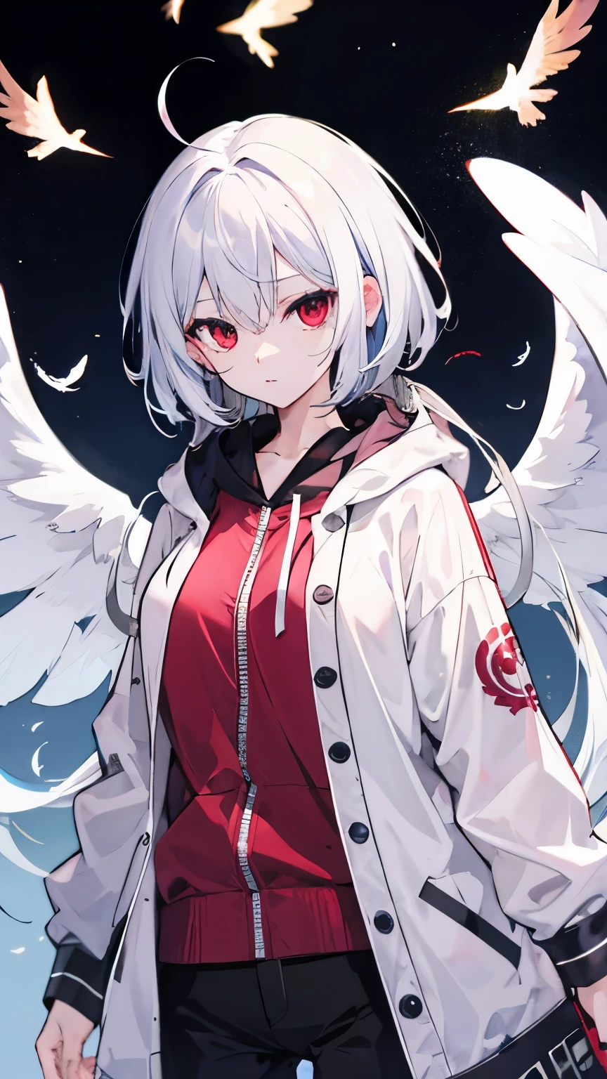 Highest quality　I have long hair　Sagume Rare God　Feathered(big)
　Red eyes　I don't have anything　



