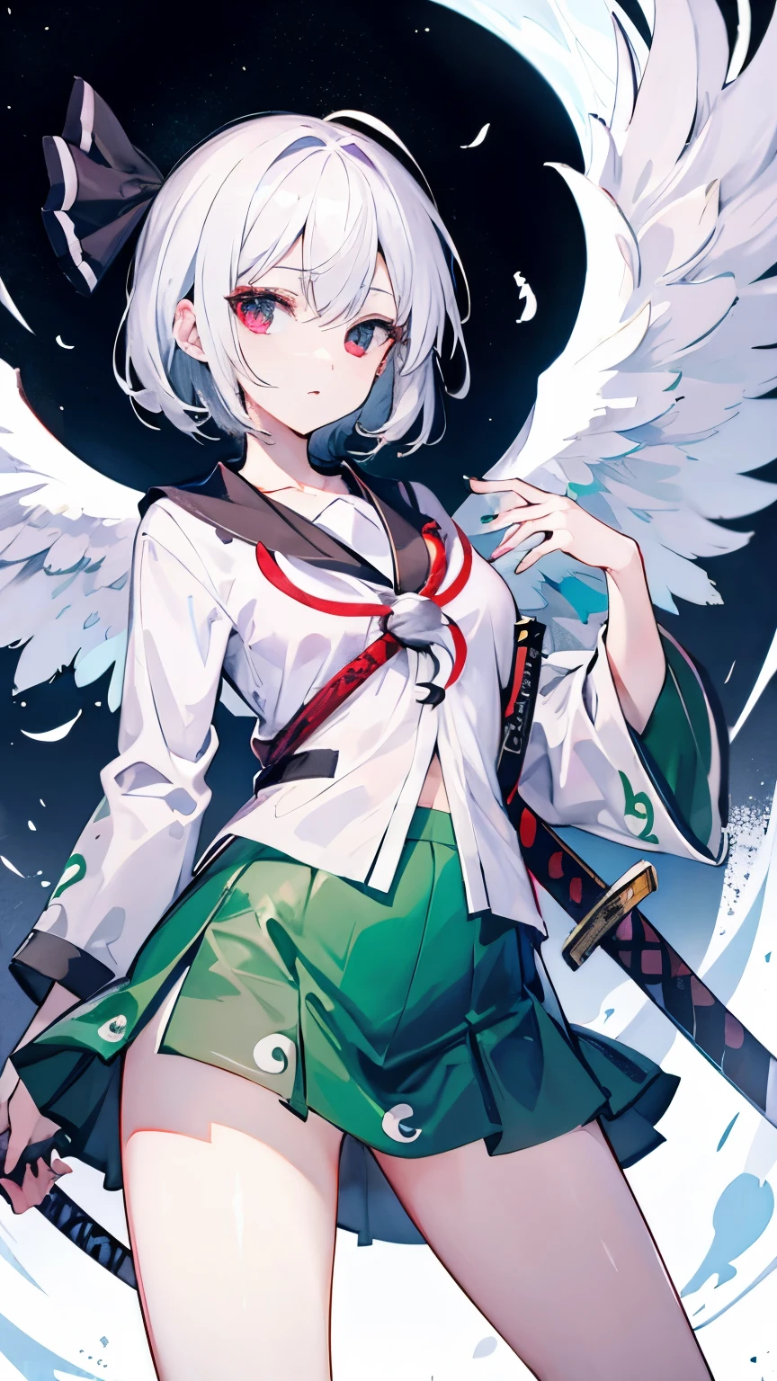 Highest quality　I have long hair　Sagume Rare God　Feathered(big)
　Eyes red and green　Odd Eye　I don't have anything　Konpaku Youmu　Japanese sword



