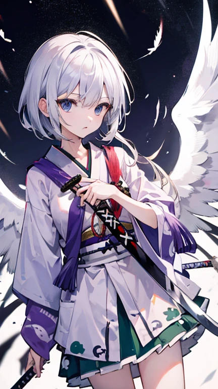 Highest quality I have long hair Sagume Rare God Feathered(big)
Odd Eye I don't have anything Konpaku Youmu Japanese sword Fallen into Darkness