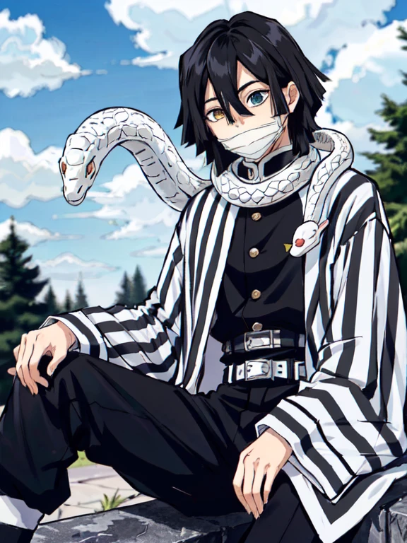 1boy, snake, heterochromia, black hair, male focus,angry, snake, tree, yellow eyes, outdoors, blue eyes, japanese clothes, black pants, hair between eyes, wide sleeves, long sleeves, sky,  demon slayer uniform, striped jacket,  bangs, iguro obanai,  sitting, [red eyes], cloudy sky