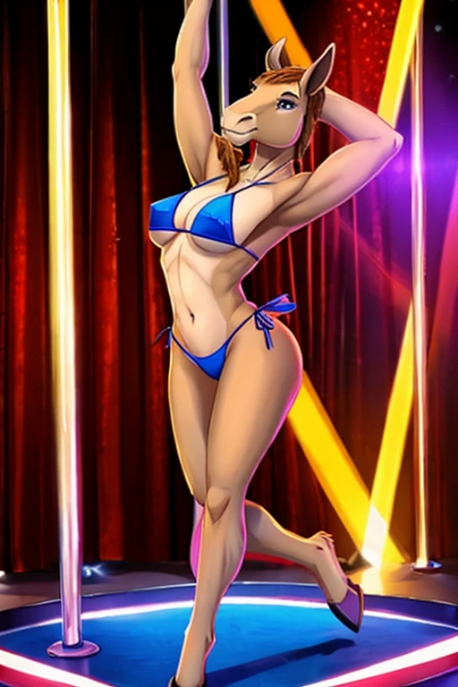 Dromedary stripper bikini dancing