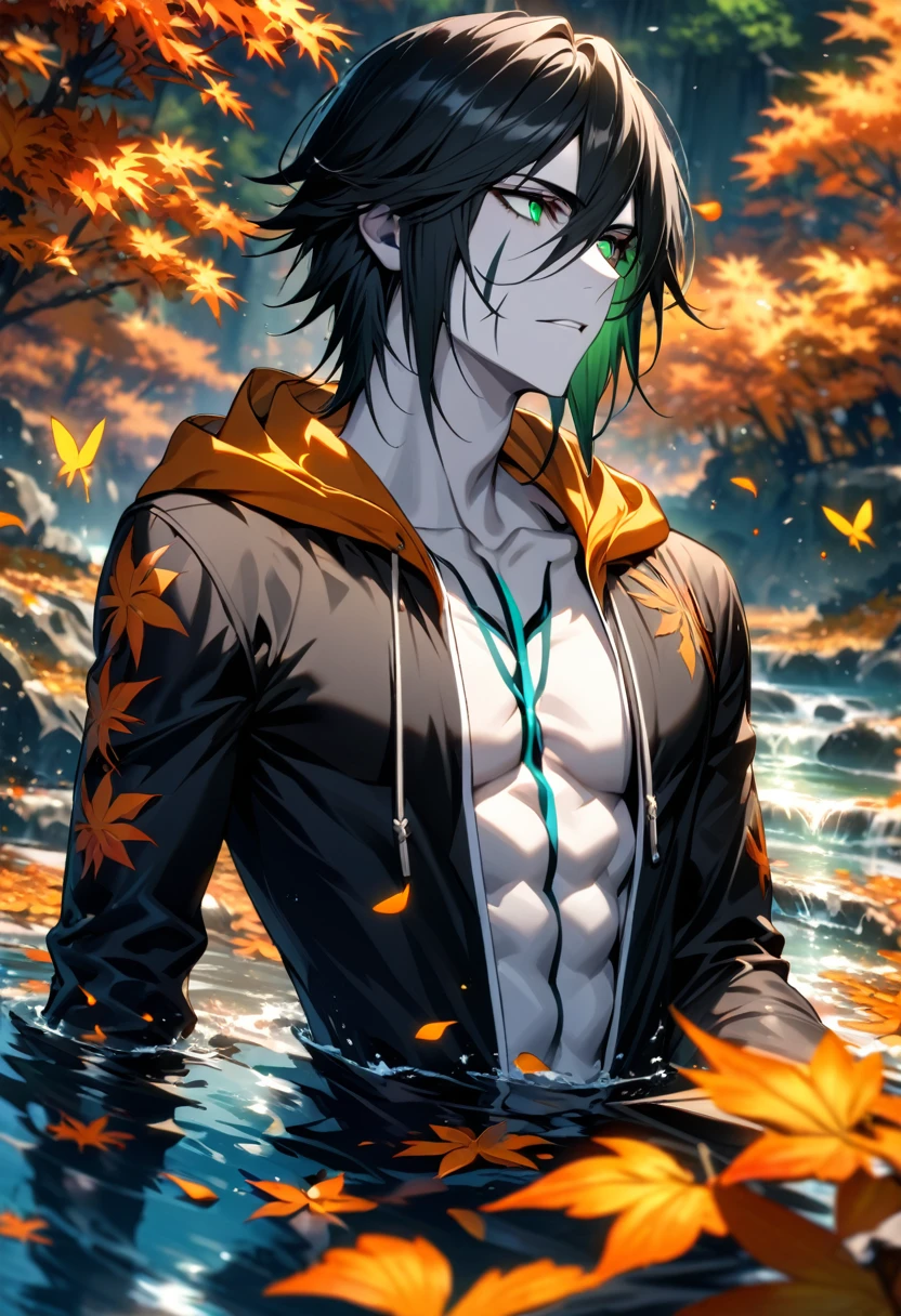 Ultra detailed, Highres, absurdres, HDR, Ulquiorra cifer, black hair, expressive green eyes, black long coat with patterns with a hoddie, Bleach, orange flowers, petals, handsome, sexy man, solo, very detailed eyes and face, water, butterflies, black tight t-shirt, master piece, toned chest, orange leaves, autumn, pale skin,