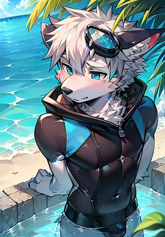Furry,wolf boy,White fur,crystal blue eyes,Single fluffy tail,greyt hair,short detailed hair,summer day,dive,Wear diving goggles,masculine features,Squat,asshole,bulge,Sexy latex swimsuit,stirrup legwear