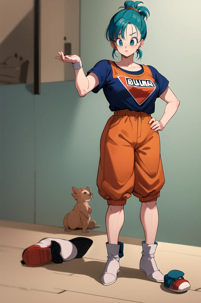 Bulma with the clothes of Goku, sexy, clothes of Goku, dragon ball object