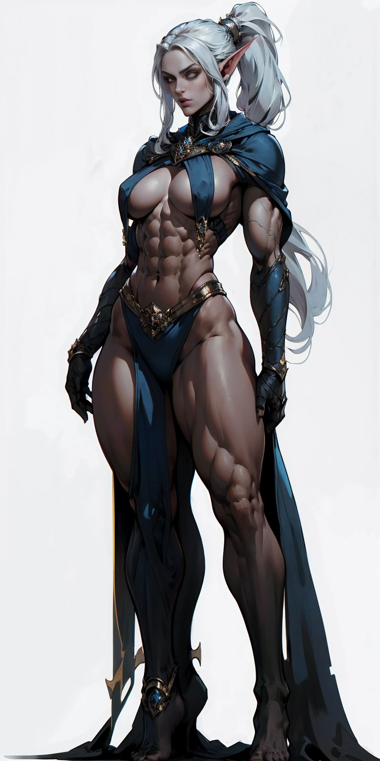 ((masterpiece, white background:1.2)) full body of a woman, standing feet together, extremely long hair, ponytail, perfect anatomy 1sologirl, tall slim thick ((muscular)) high elf toned body, silver breast plate, blue cape, slender abs, hourglass waist