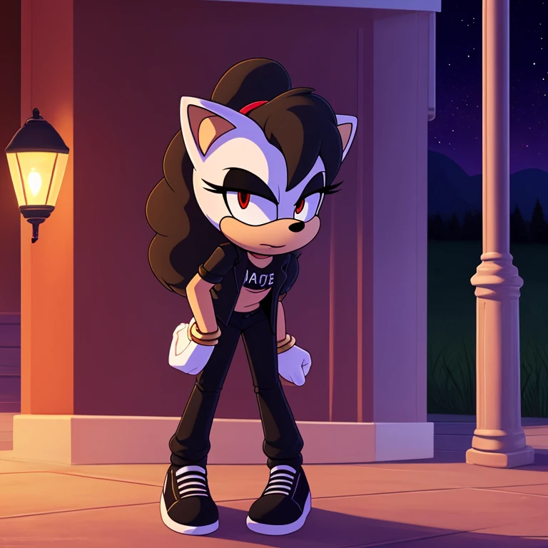 sonic_(series), mobian arctic fox, thin body, wavy bangs, black hair, long hair, fluffy hair, white fur, red eyes, black eyelids, black shirt, black pants, black sneakers, black love, short leather jacket, red symbol on shirt, beautiful, pretty, cute, angry,  masterpiece, high quality, studio quality, detailed, insanely detailed, extreme detail, refined detail, perfect detail, max detail, black lipstick, goth girl, standing, park, trees, grass, lamp posts, starry sky, night time, moon in background, detailed background, ponytail, hairband, (score_9, score_8_up), inspired by cartoons, facing the viewer, tall, black lips, detailed irises, detailed retinas