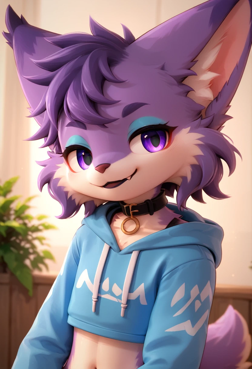 score_9,score_8_up,score_7_up, anthro lynx, furry art, medium hair, head tuft, shirtless, ((shota)), (purple fur), purple body, ((soft body)), fuzzy, one fang, medium hair, wavy hair, purple eyes, solo focus, kemono, cute, eyeliner, eyelashes, Eyeshadow, black lipstick, collar, kid, young, narrowed eyes, between legs, 3d, blender software, hoodie, smug face, fullbody, floppy ears, crop top, navel, long sleeves,