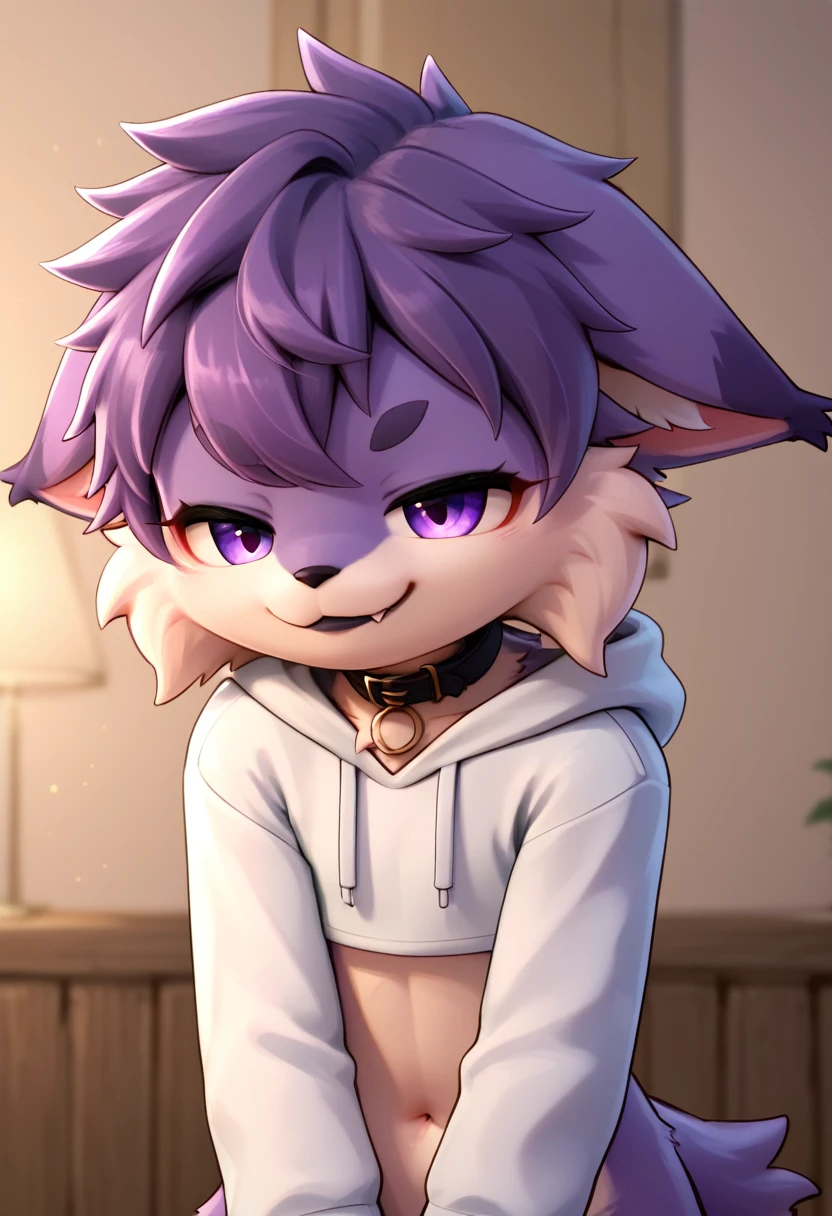 score_9,score_8_up,score_7_up, anthro lynx, furry art, medium hair, head tuft, shirtless, ((shota)), (purple fur), purple body, ((soft body)), fuzzy, one fang, medium hair, wavy hair, purple eyes, solo focus, kemono, cute, eyeliner, eyelashes, Eyeshadow, black lipstick, collar, kid, young, narrowed eyes, between legs, 3d, blender software, hoodie, smug face, fullbody, floppy ears, crop top, navel, long sleeves,