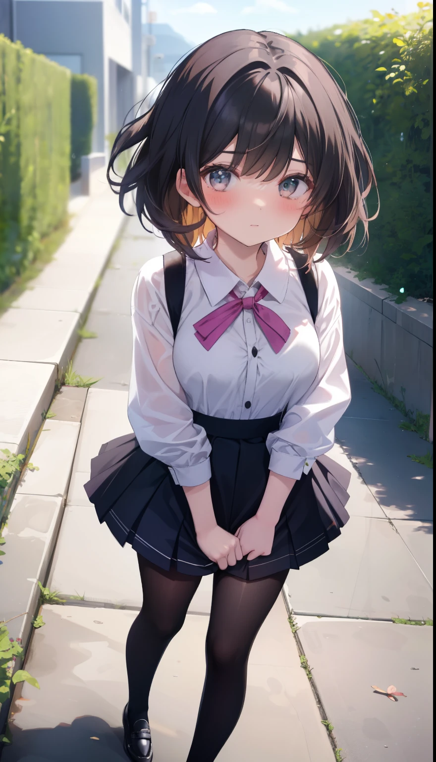 One Girl、positive、From above、Full body portrait、Brown haired、Medium Haircut、blush、Absolute area、Knee socks、stockings、Black knee-high socks、White underwear、Cleavage、Light blue cut shirt、Unbutton your shirt、Shirt buttons fly off、Navy blue checkered pleated skirt、Very short skirt、garden、Daytime、(Very large breasts)、((Lesbians all over))、masterpiece、(highest quality)、Panties around the ankles、loafers、The wind blows up my skirt、Knee socksのバイブレーター