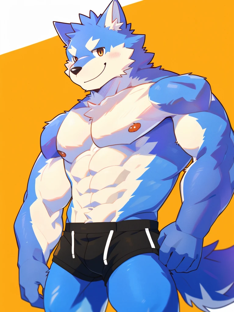 Scribble wolf face, cute face, kemono, (blue wolf), naked, himbo, smile, simple background, high res, best quality, nipples, detailed eyes, best anatomy