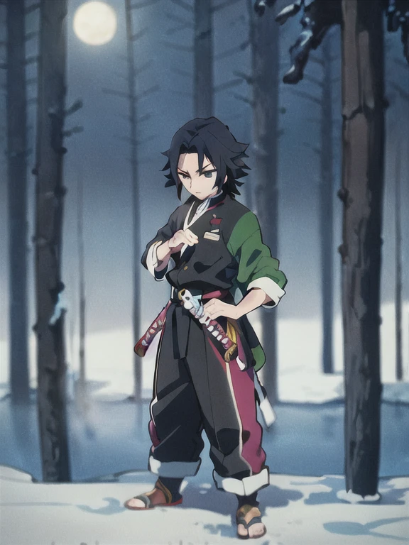 tomioka giyuu, katana stance, in midle of a frozen lake, detailed face, serious, air flow, scenery, forest in far distance, full body, full moon, male focus, absolutely calm