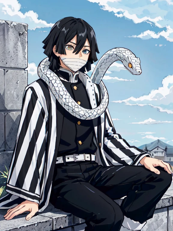 1boy, snake, heterochromia, black hair, male focus,angry, snake,angry, yellow eyes, outdoors, blue eyes, japanese clothes, black pants, hair between eyes, wide sleeves, long sleeves, sky,  demon slayer uniform, striped jacket,  bangs, iguro obanai,  sitting, [red eyes], cloudy sky, scenery