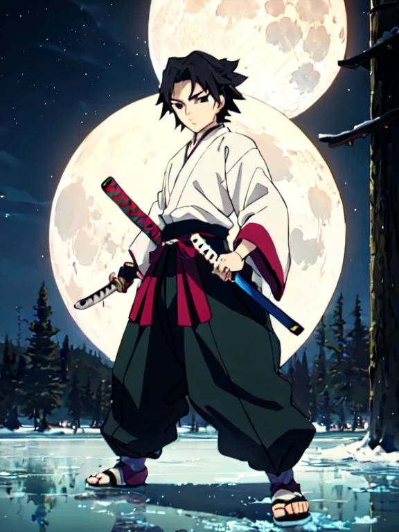 tomioka giyuu, katana stance, in midle of a frozen lake, detailed face, serious, air flow, scenery, forest in far distance, full body, full moon, male focus, absolutely calm