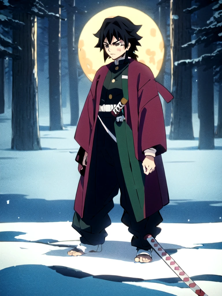 tomioka giyuu, katana stance, in midle of a frozen lake, detailed face, serious, air flow, scenery, forest in far distance, full body, full moon, male focus, absolutely calm