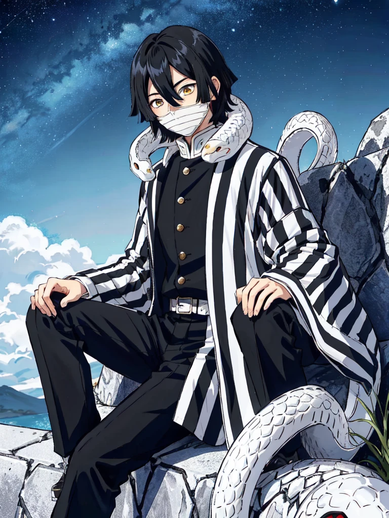 1boy, snake, heterochromia, black hair, male focus,ANGRY, snake,angry, yellow eyes, outdoors, blue eyes, japanese clothes, black pants, hair between eyes, wide sleeves, long sleeves, sky,  demon slayer uniform, striped jacket,  bangs, iguro obanai,  sitting, [red eyes],starry sky, scenery