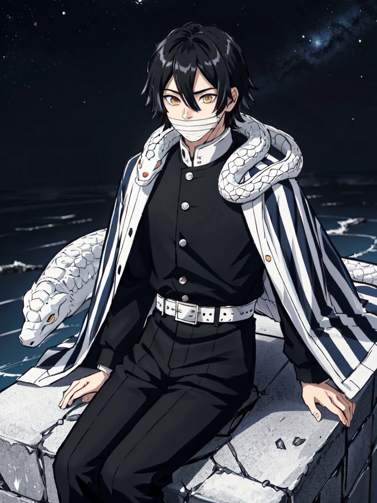 1boy, snake, heterochromia, black hair, male focus,ANGRY, snake,angry, yellow eyes, outdoors, blue eyes, japanese clothes, black pants, hair between eyes, wide sleeves, long sleeves, sky,  demon slayer uniform, striped jacket,  bangs, iguro obanai,  sitting, [red eyes],starry sky, scenery