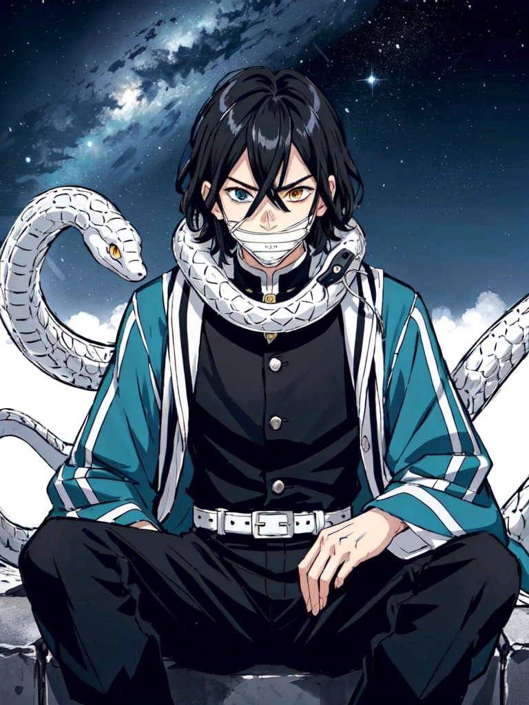 1boy, snake, heterochromia, black hair, male focus,ANGRY, snake,angry, yellow eyes, outdoors, blue eyes, japanese clothes, black pants, hair between eyes, wide sleeves, long sleeves, sky,  demon slayer uniform, striped jacket,  bangs, iguro obanai,  sitting, [red eyes],starry sky, scenery