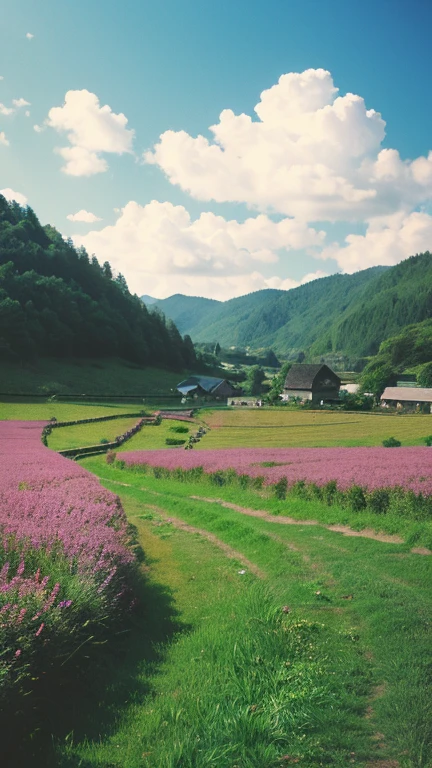 Anime Ghibli style rural landscape