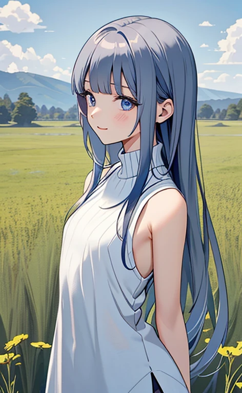 (masterpiece:1.4、top-quality、illustration)、(character focus、,upper body:1.3)、(1girl),(happy:1.3),(exact limbs:1.4),cute face,blue eyes、(tareme:1.3)、(arms behind back),
(),(stand:1.4),、
(blue grey hair),(long hair:1.5)、
,(meadow:1.3),（sleeveless turtleneck sweater:1.5),
(blunt bangs),(sidelocks:1.3), (small breasts)、
、slender、