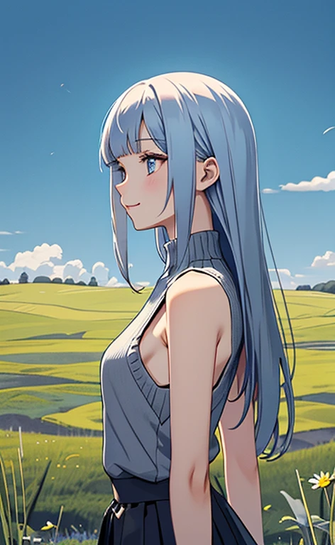 (masterpiece:1.4、top-quality、illustration)、(character focus、,upper body:1.3)、(1girl),(happy:1.3),(exact limbs:1.4),cute face,blue eyes、(tareme:1.3)、(arms behind back),
(from side,looking afar:1.5),(stand:1.4),、
(blue grey hair),(long hair:1.5)、
,(meadow:1.3),(sleeveless turtleneck sweater:1.5),
(blunt bangs),(sidelocks:1.3), (small breasts)、
、slender、