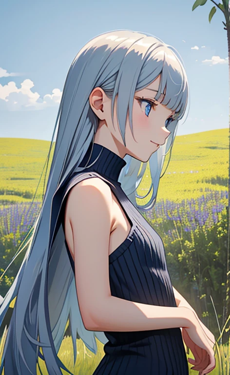 (masterpiece:1.4、top-quality、illustration)、(character focus、,upper body:1.3)、(1girl),(happy:1.3),(exact limbs:1.4),cute face,blue eyes、(tareme:1.3)、(from below:1.4),
(from side,looking afar:1.5),(stand:1.4),、
(blue grey hair),(long hair:1.5)、
,(meadow:1.3),(sleeveless turtleneck sweater:1.5),
(blunt bangs),(sidelocks:1.3), (small breasts)、
、slender、