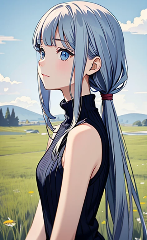 (masterpiece:1.4、top-quality、illustration)、(character focus、,upper body:1.3)、(1girl),(happy:1.3),(Beautiful eyes:1.4),cute face,blue eyes、(tareme:1.3)、(),
(from side,looking afar:1.5),(stand:1.4),、
(blue grey hair),(long hair:1.5)、
,(meadow:1.3),（sleeveless turtleneck sweater:1.5),
(blunt bangs),(sidelocks:1.3), (small breasts)、
、slender、