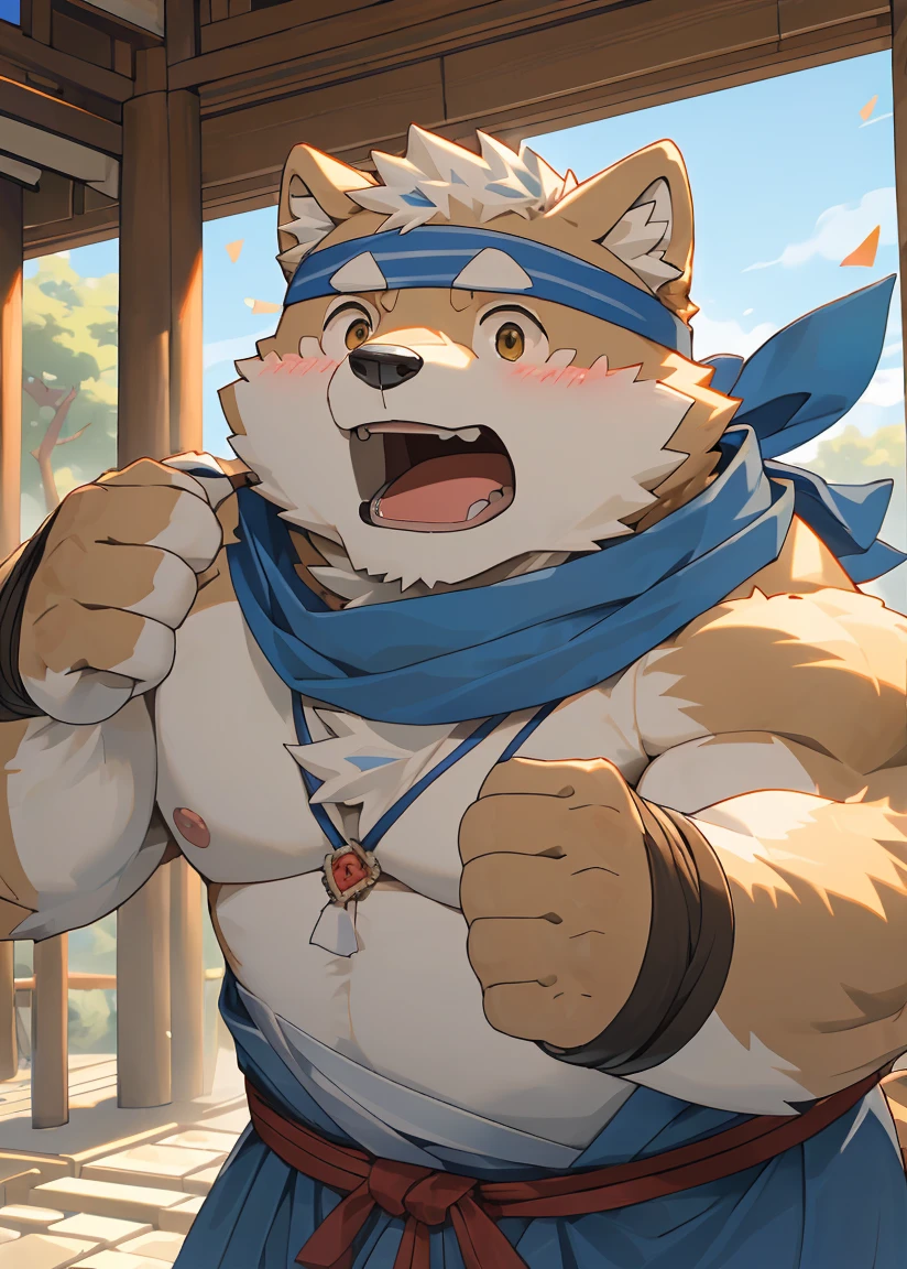 (masterpiece),(Very detailed),(best quality),hairy,Shiba Inu,fur,white hair,Gray pupil,(Japan samurai attire),((blue scarf)),((brown headband)),(blush:1.1),(open mouth),((Surprised expression)),Temple Background,8K,(high quality),(Ultra high quality),(Super detailed)