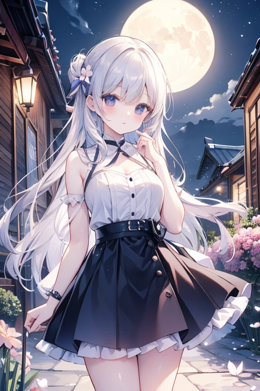 (Pretty sister:1.3)、Spring atmosphere、night、aggressive、garden、full moon