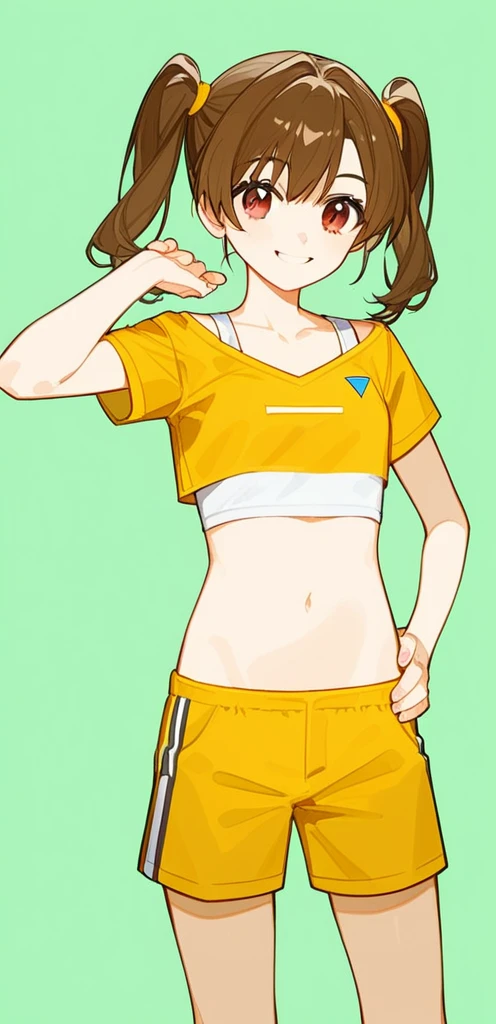 score_9, score_8_up, source_anime, masterpiece, best quality, BREAK 1girl, hand on hip, crop top, shorts, brown hair, twintails, brown eyes, smile, rating_safe