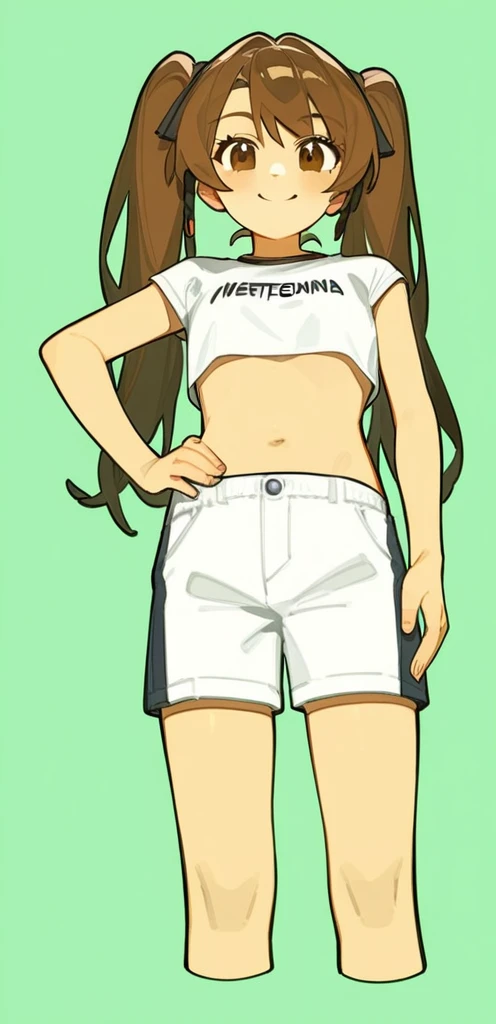 score_9, score_8_up, source_anime, masterpiece, best quality, BREAK 1girl, hand on hip, crop top, shorts, brown hair, twintails, brown eyes, smile, rating_safe