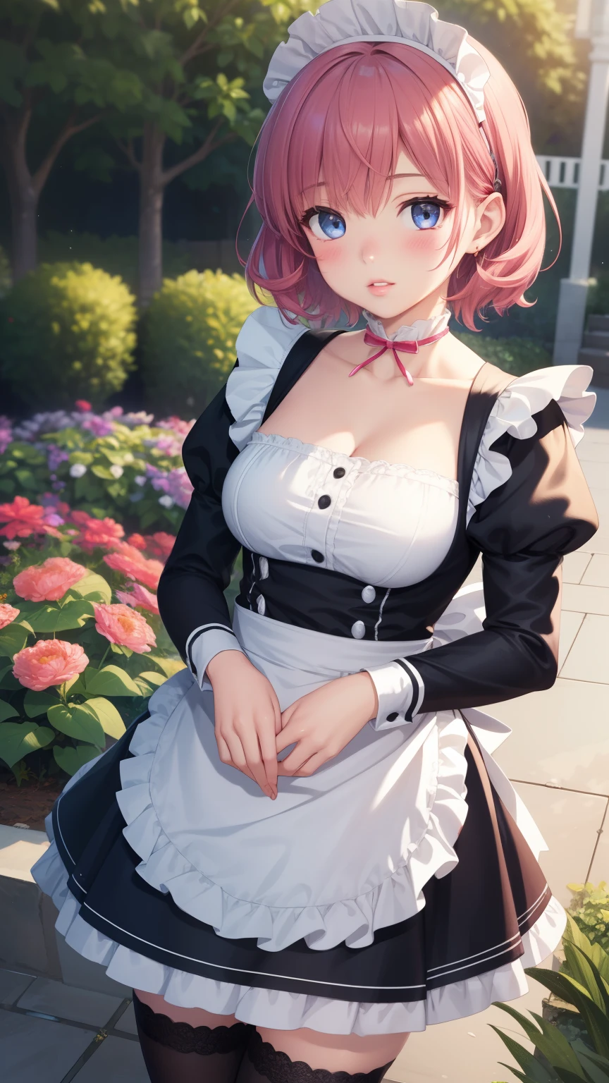 1girl, natural lighting, masterpiece, highly detailed, illustration, game CG, absurdres, high quality, aichan, large breasts, beautiful detailed eyes, medium bright pink hair, bangs, glossy lips, lips parted, blush, garden, maid, short puffy sleeves, small maid apron, thigh highs, collarbone