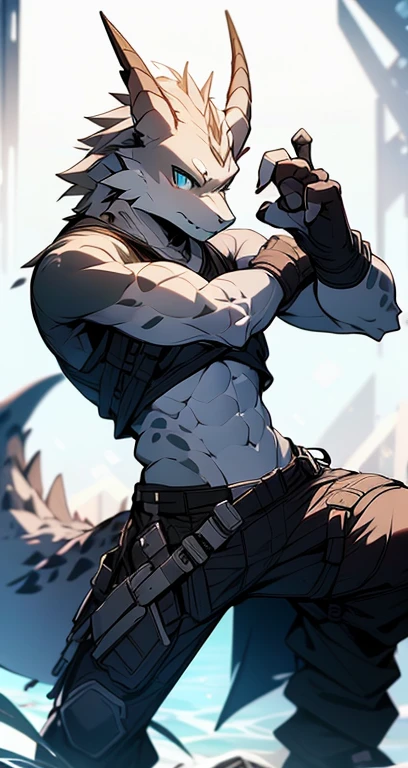 Masterpiece, Cool Pose, Furry Gray Dragon, Medium Strong Body, Blue Eyes, Grey Medium Hair, Combat Black Shirt, Combat Gloves, Combat Pants, Fierce, Good looking 